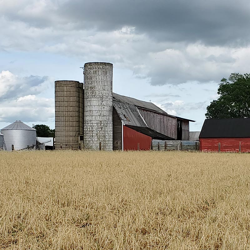 Barns and silos next to a field.